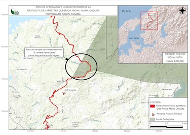 CIAM: ‘carretera entre Quebrada Ancha y María Chiquita pone en riesgo la biodiversidad’