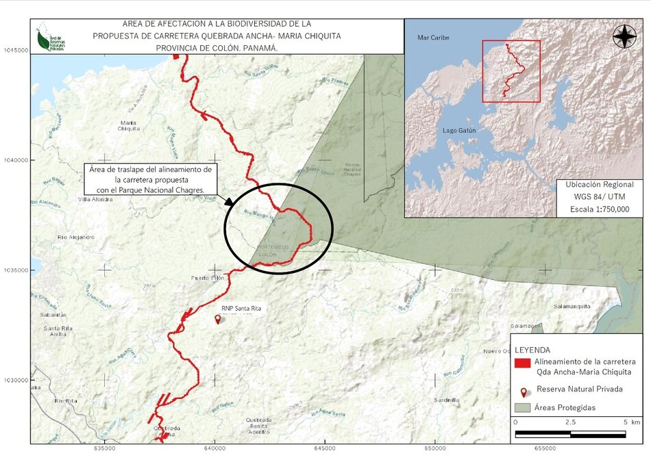 CIAM: ‘carretera entre Quebrada Ancha y María Chiquita pone en riesgo la biodiversidad’