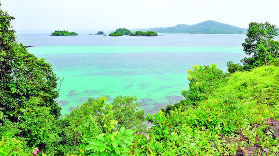 Urge preservar áreas marinas