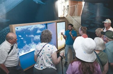 El Biomuseo crece y sigue su renovación