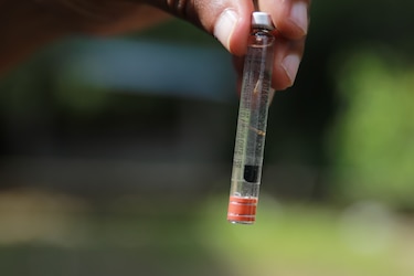 Panamá registra 84 defunciones por influenza y 92 por la covid-19 este año