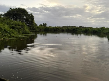 Guardaparques retiran trasmallo ilegal en el Humedal San San Pond Sak, Bocas del Toro