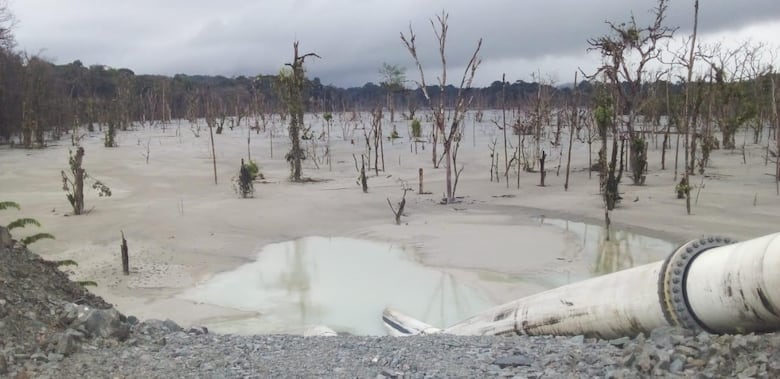 Advierten de posible daño al ambiente y al patrimonio por parte de la minera 