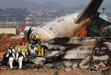 Los investigadores del accidente de avión en Corea del Sur confirman restos de plumas en los motores del avión
