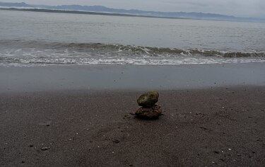 Efectos tras la alerta de tsunami en el Pacífico panameño: reportes dentro de lo esperado  