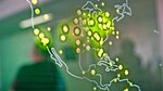 Internet y TIC para innovar