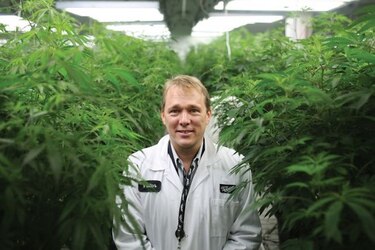 Canopy Growth, la primera empresa que vende marihuana en cotizar en la Bolsa de Valores