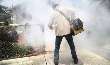 Autoridades hallan el virus del zika en South Beach
