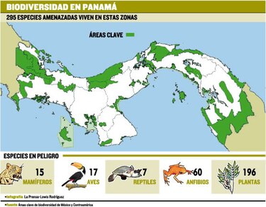Áreas verdes clave, en indefensión