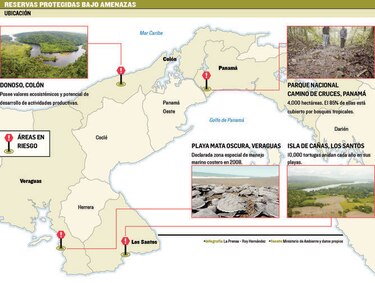Miambiente, en la mira por ‘inacción’