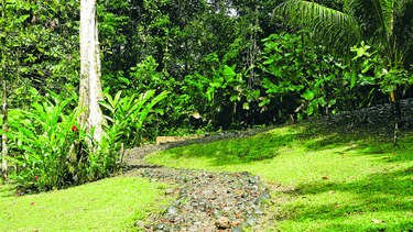 Conexión con la naturaleza