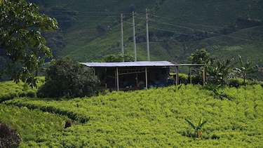 La carrera tecnológica de los narcos en Colombia para que el negocio de la cocaína sea más rentable