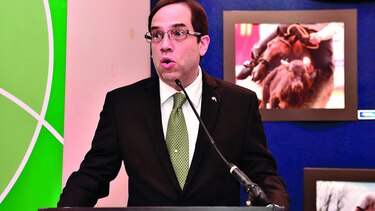BNP supera $10,400 millones en activos