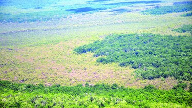 ¿Qué pasa en el humedal?