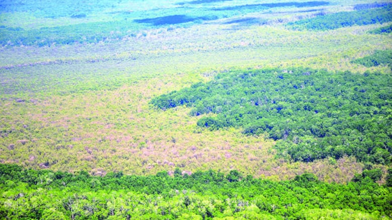 ¿Qué pasa en el humedal?