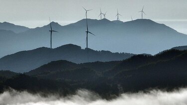 6 buenas noticias para el medio ambiente y la naturaleza en 2025
