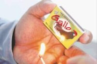 El Gallo y el Gavilán luchan contra fósforos de importación