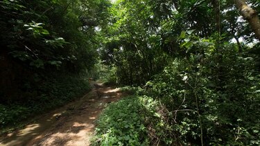 Fincas, la gran estafa al Estado