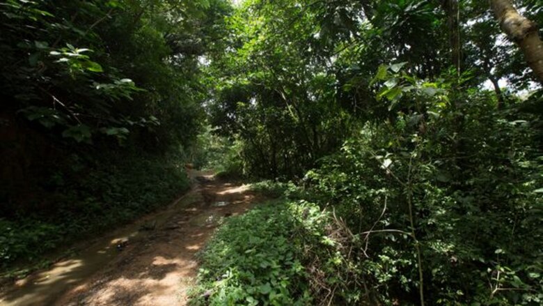 Fincas, la gran estafa al Estado