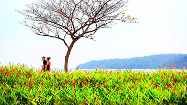 La extensión viviente del biomuseo