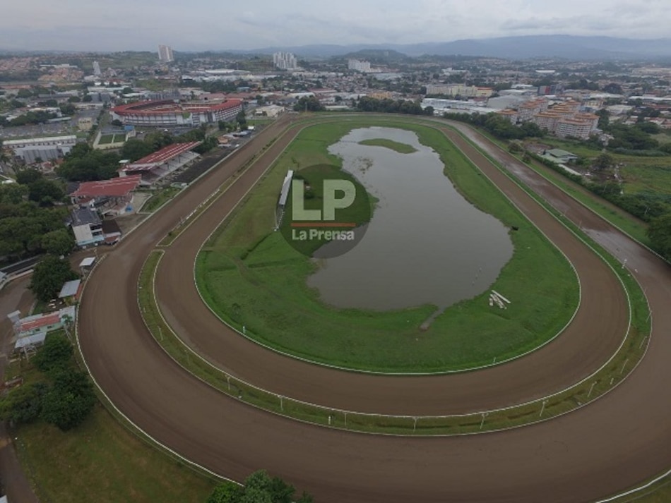 Suspenden carreras en el hipódromo tras accidente que dejó a cuatro jinetes lesionados, hay uno grave