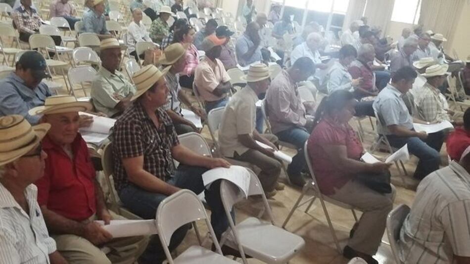 Ganaderos santeños dicen que exportaciones a China no les ha beneficiado