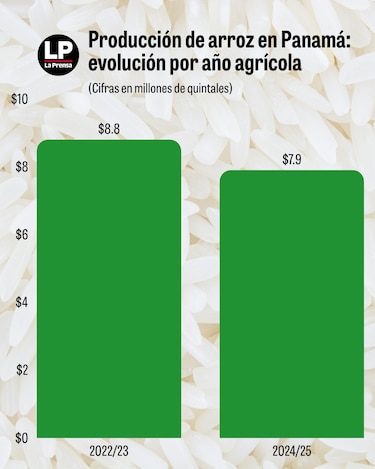 El arroz vuelve a la agenda nacional: importación, clima y producción bajo análisis