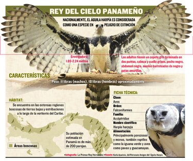 Un vuelo por la preservación