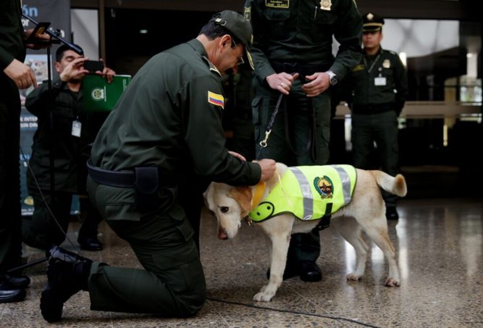 Colombia investiga envío de 'cocaína negra' a México