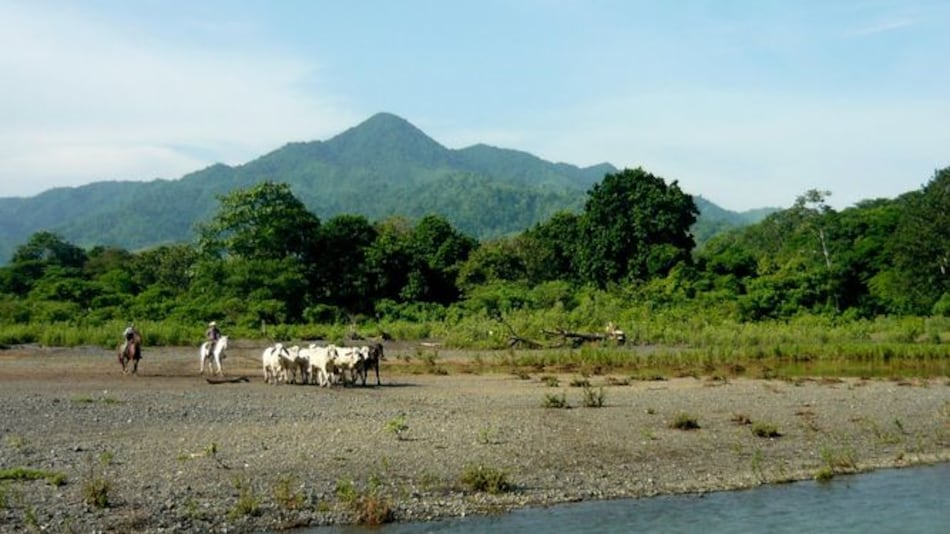 Cancelarán contrato de riego de Tonosí