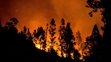 Estado de emergencia en Chile ante los peores incendios de su historia