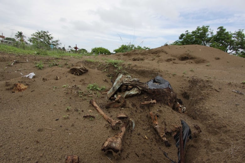 Regina Martínez: tras los pasos de una verdad enterrada