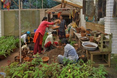 Fuerza femenina busca proteger biodiversidad 