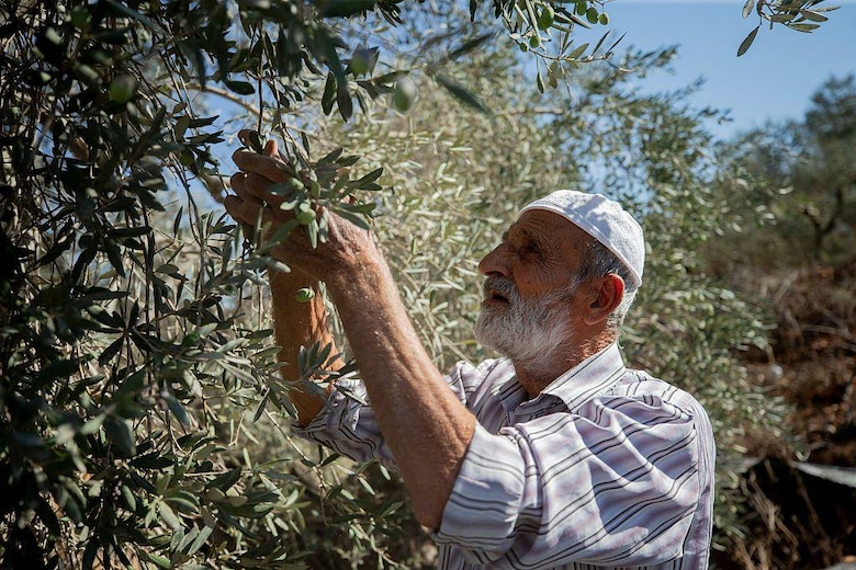 ‘El mayor número desde que se tienen registros’: la ONU denuncia el aumento y la severidad de los ataques de colonos israelíes contra palestinos en Cisjordania
