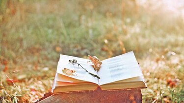 El salón de la poesía de la Feria del Libro de Panamá 2019