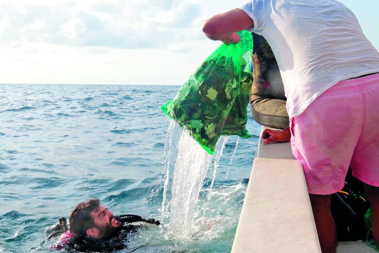 Limpieza en el fondo del mar