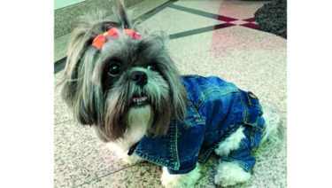 El fiel Yuko Brown