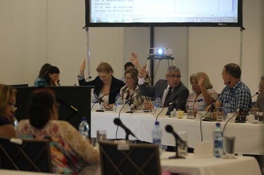 Rechazan artículo avalado por CNRE