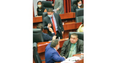 Se posponen las sesiones virtuales de la Asamblea