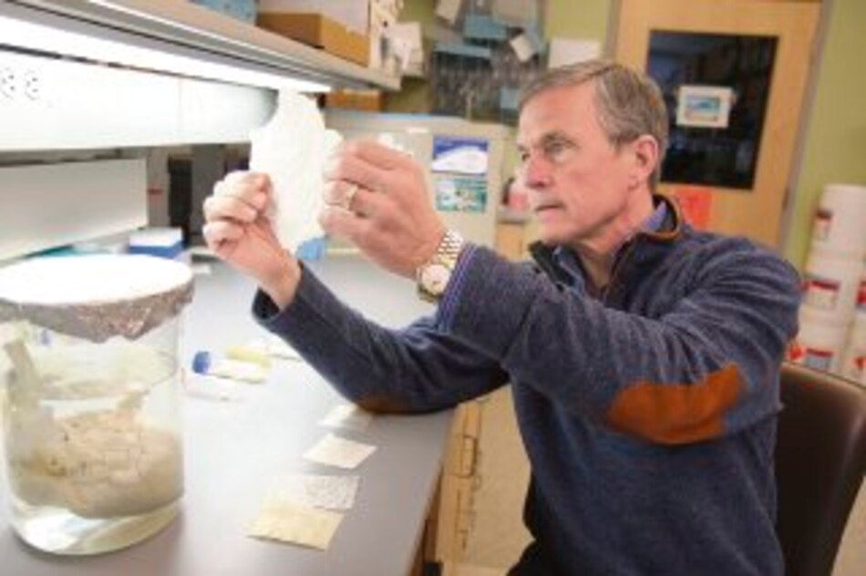 Nuevo material a partir de vejiga de cerdos