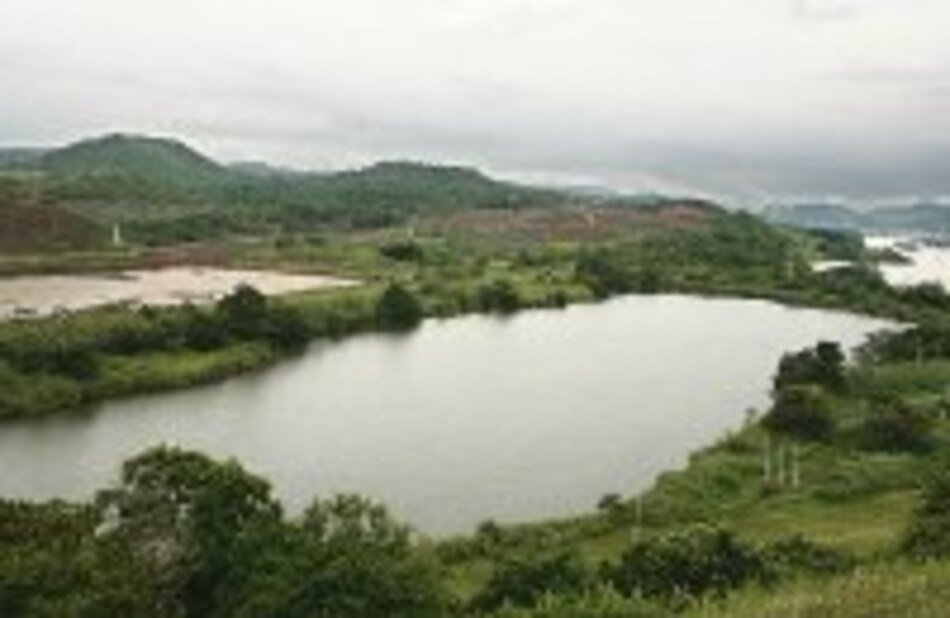 Willis Limited hace mejor oferta a la ACP