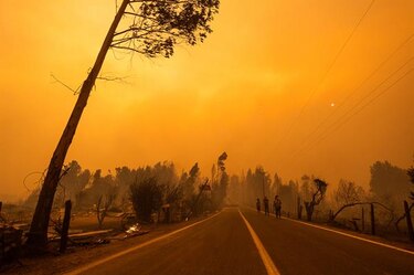 Chile pide ayuda contra fuego a México, Brasil, Argentina, Uruguay y España