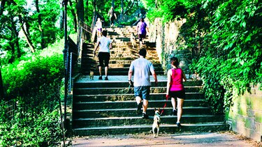 Entrenar y pasear al perro a la vez