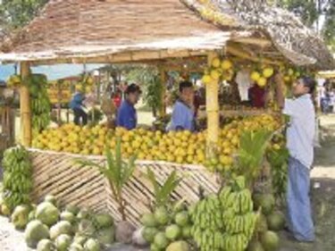 Churuquita, tierra de la naranja