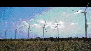 Parque eólico entra en la recta final
