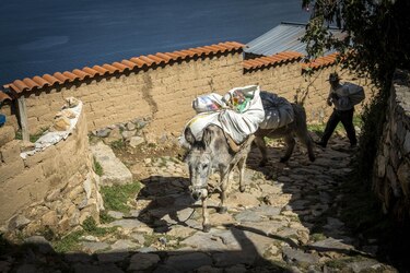 Amanecer en la Isla del Sol, Bolivia