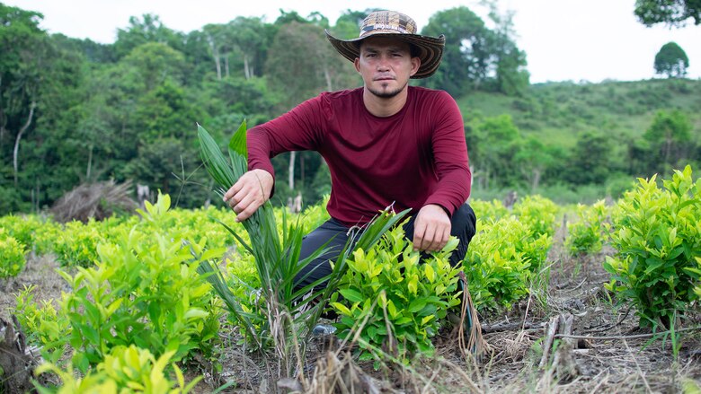 Los rostros del hambre tras la crisis de la coca en Colombia