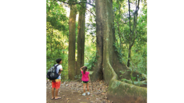Acaba consulta sobre manejo del parque Soberanía