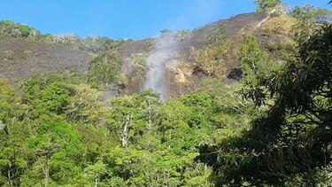 Se queman diez hectáreas de bosque y herbazales en Volcán y La Concepción