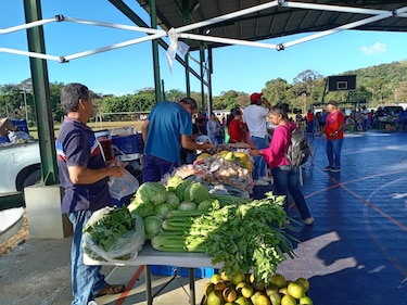 IMA alerta sobre estafas a productores y reitera puntos de agroferias